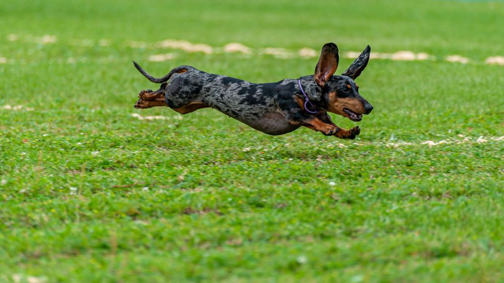 Photograph by Вадим Басов