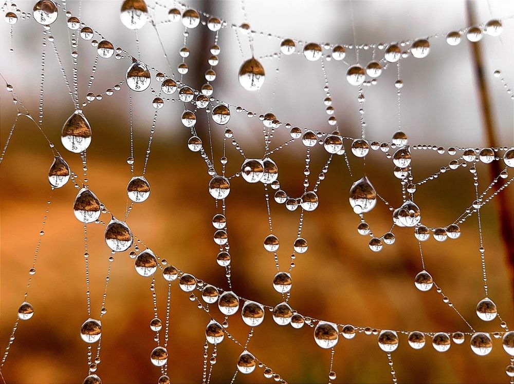 Photograph by SOUVIK MUDI