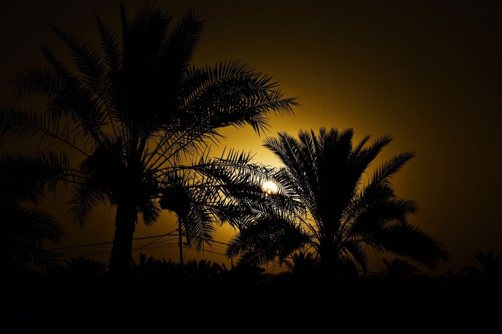 Photograph by Shaiban Alsamraie