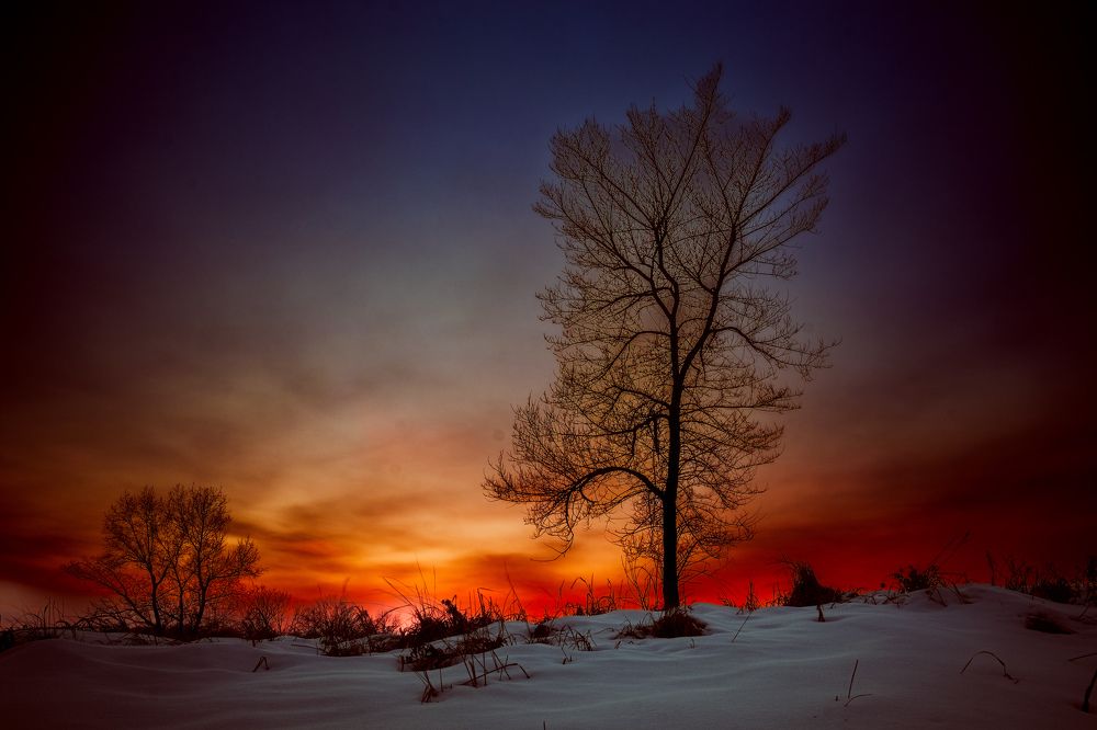 Photograph by Kostantin Belonogov