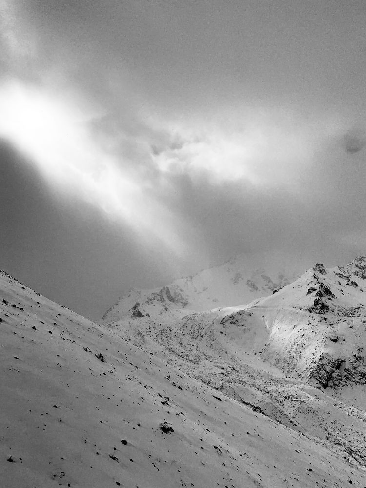 Фотография автора Daria