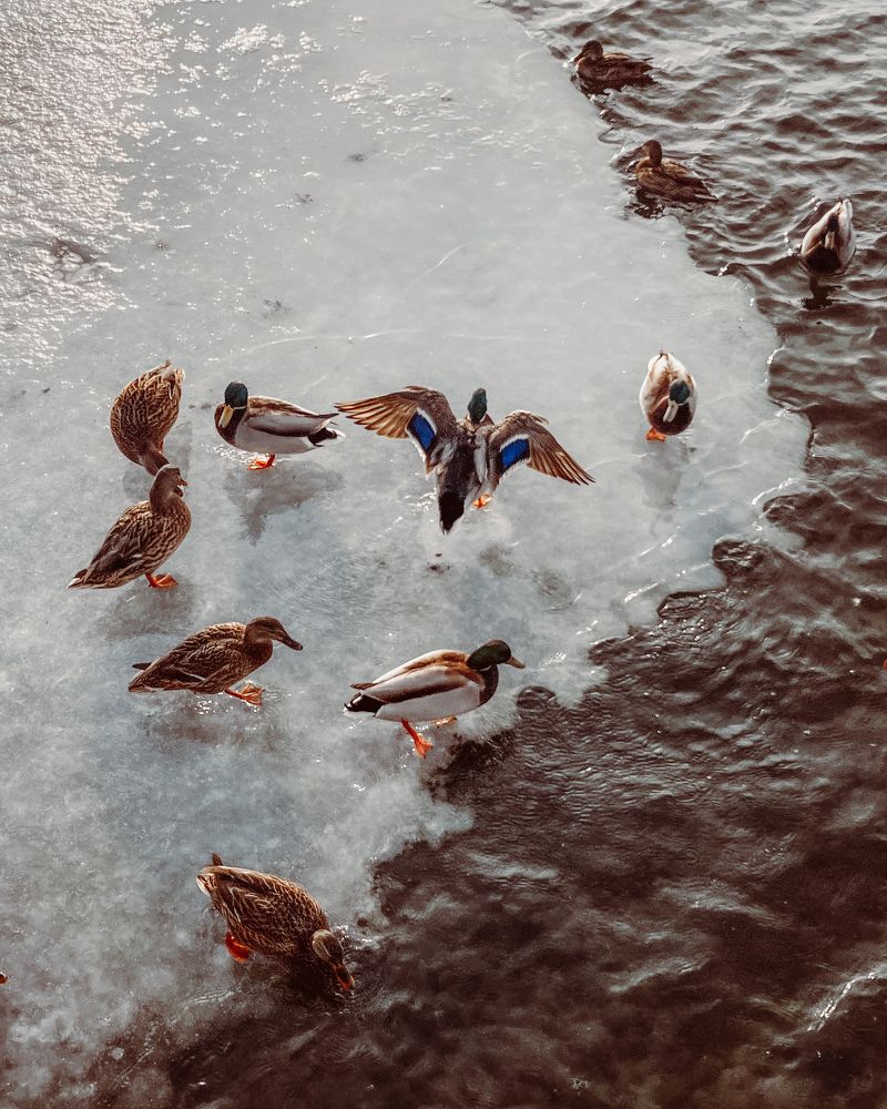 Photograph by Ксения Гулькова