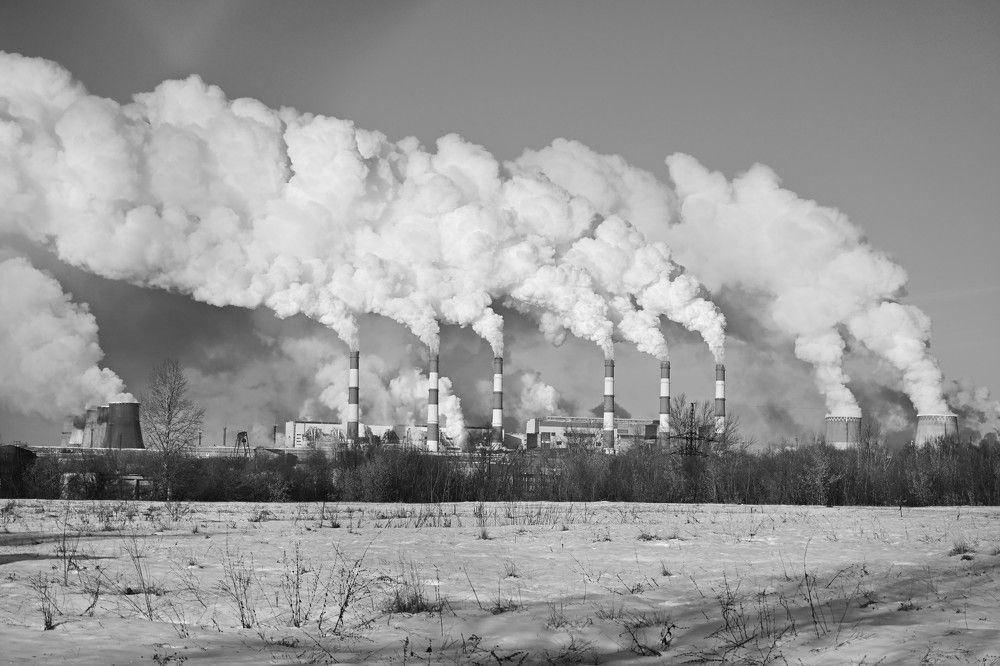 Фотография автора IRINA FILIPPOVA