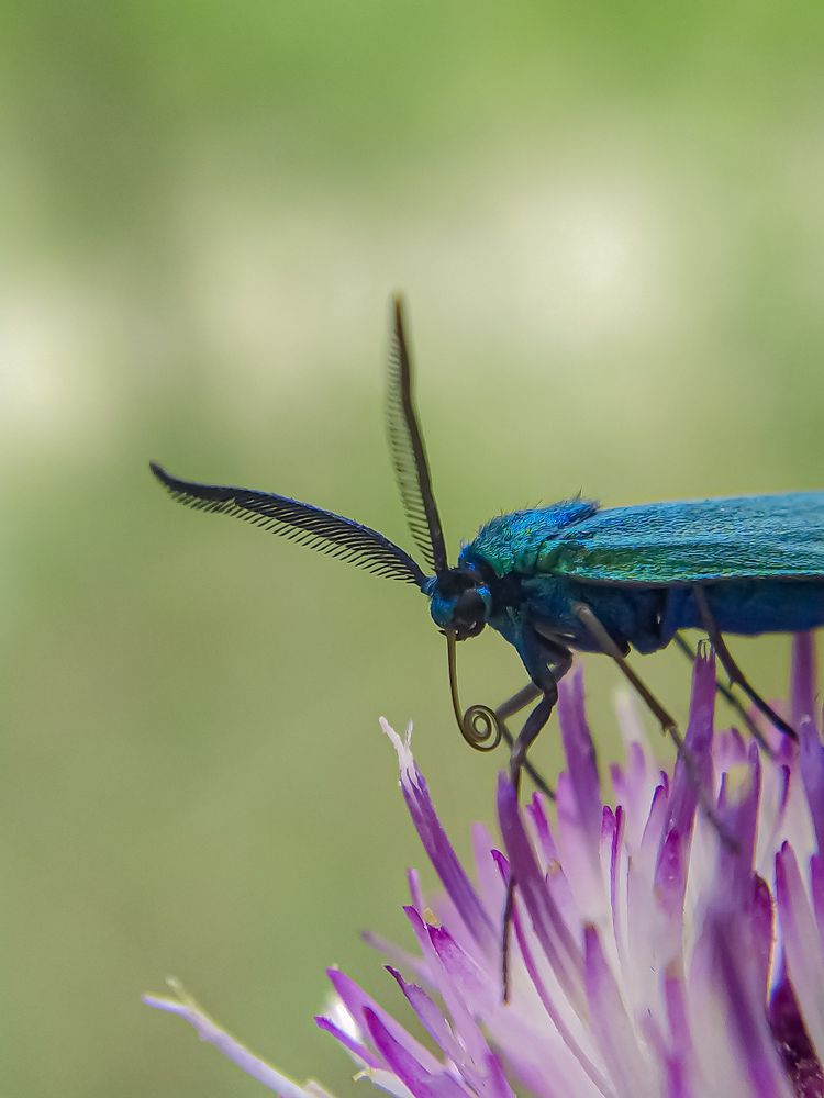 Фотография автора Наталья Алексеева