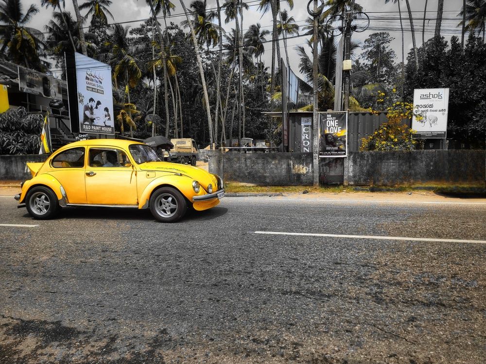 Photograph by Buddhika Dinuranga