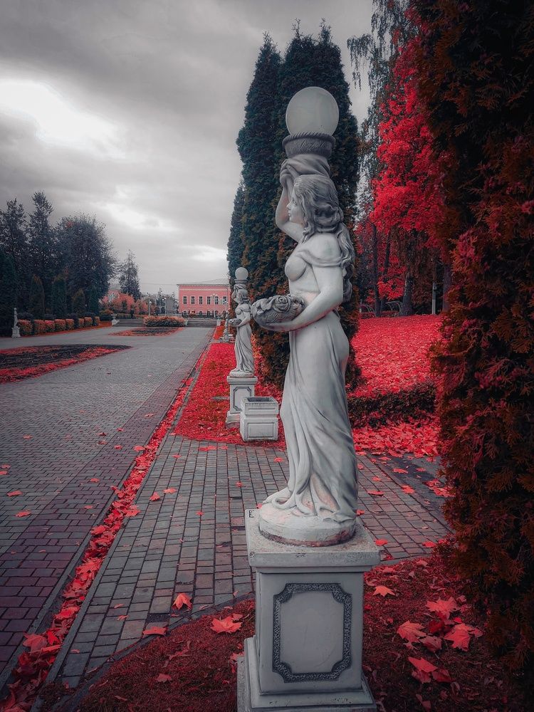 Photograph by Юлия Реутова