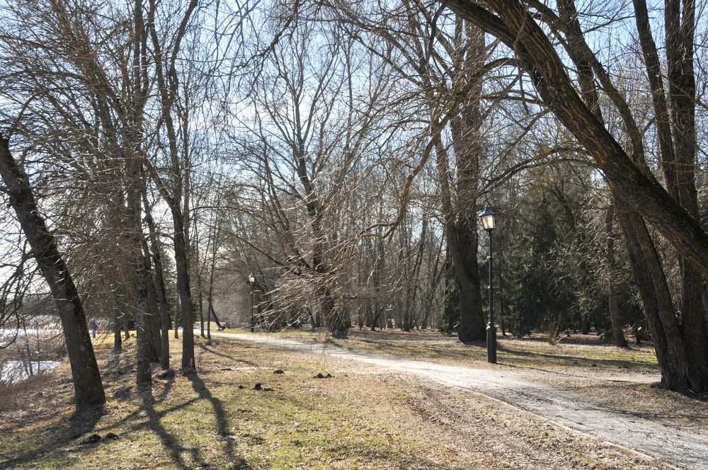 днём в парке