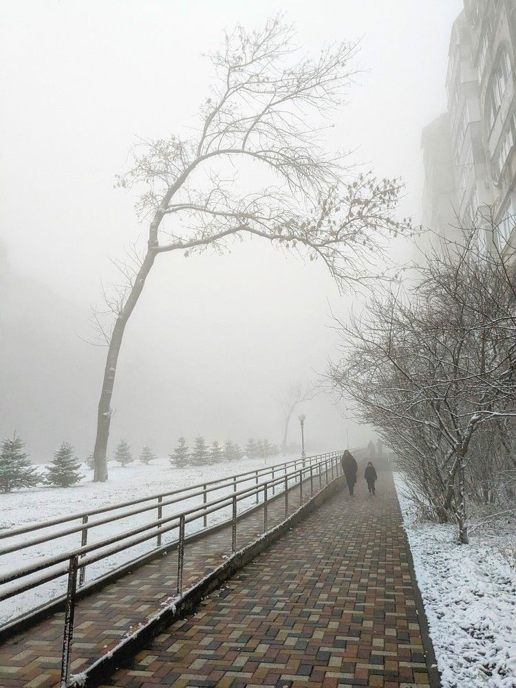 Photograph by Владимир