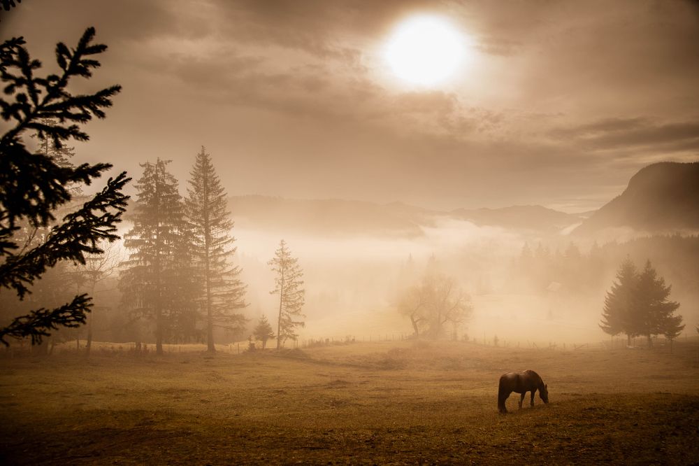 Photograph by Florin Ungureanu