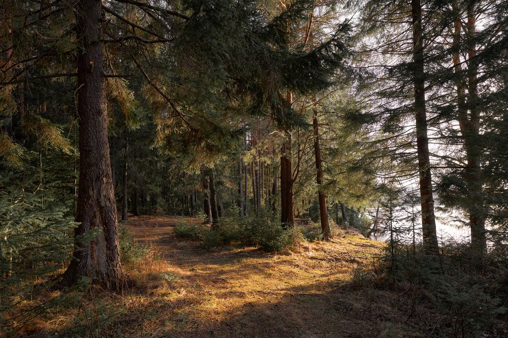 Photograph by Сергей Скоробогатов