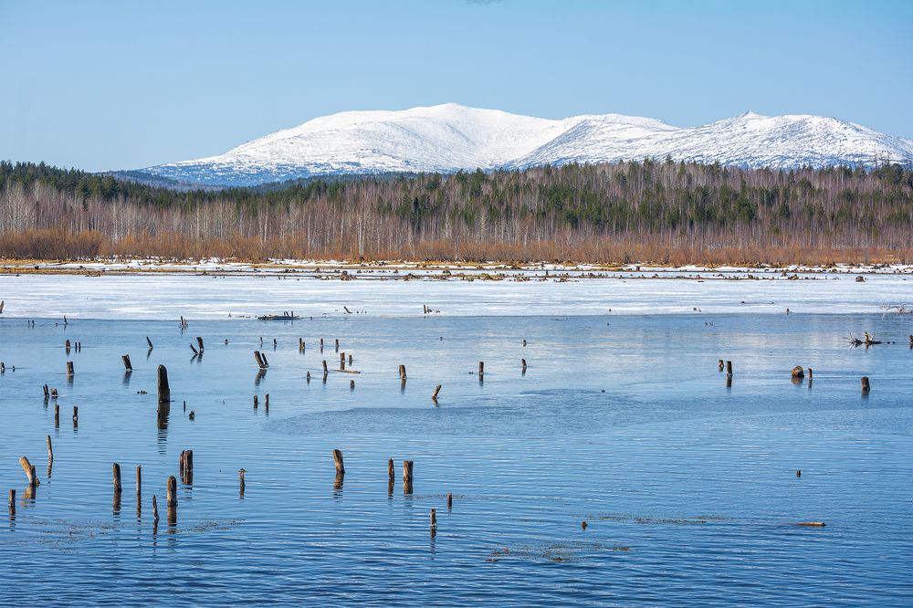 Photograph by Sergey Lebedev