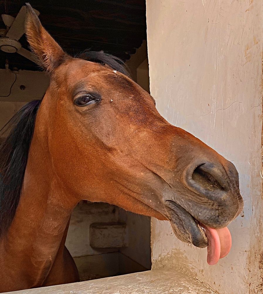 Фотография автора Рожнов Кирилл