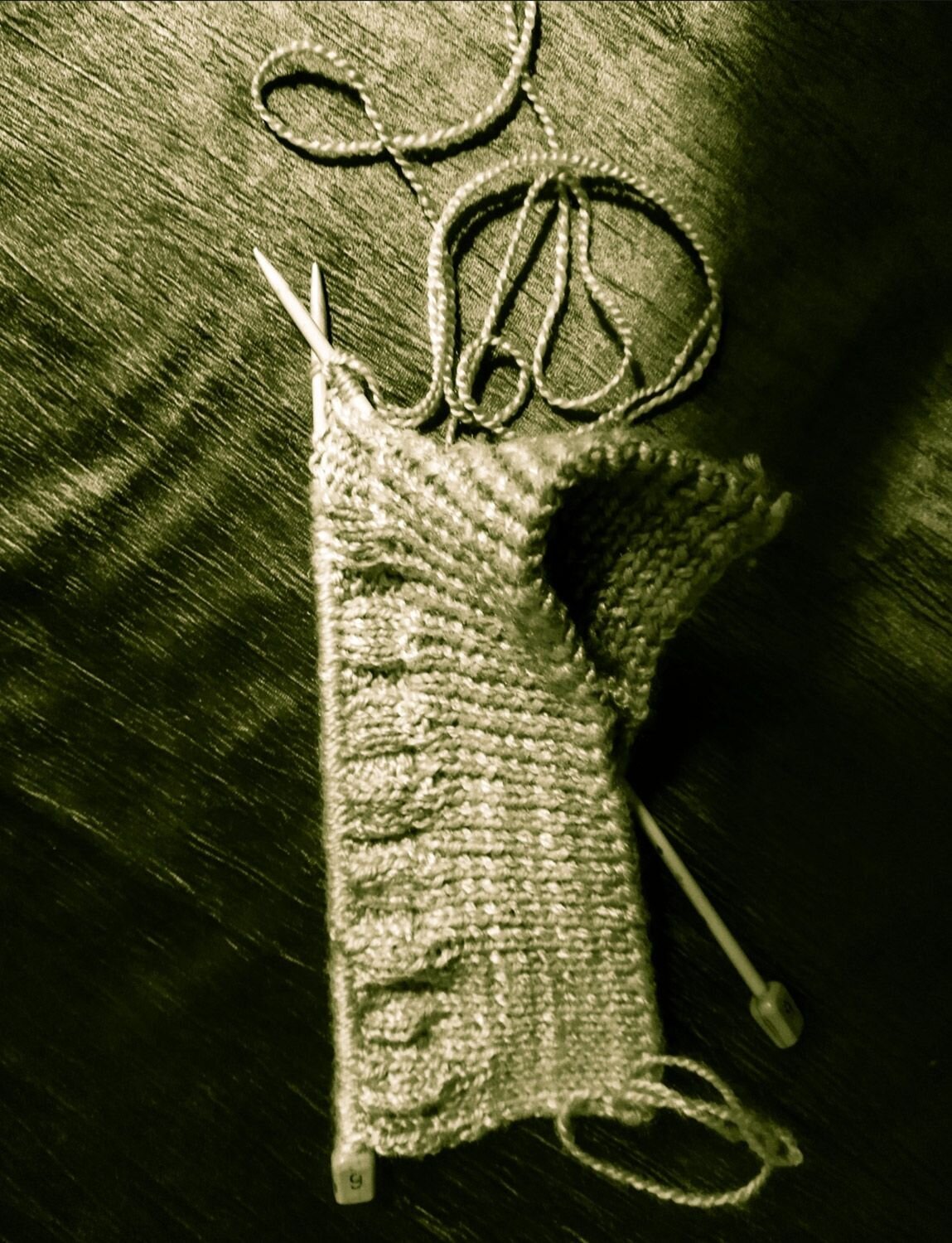 Photo #10482002