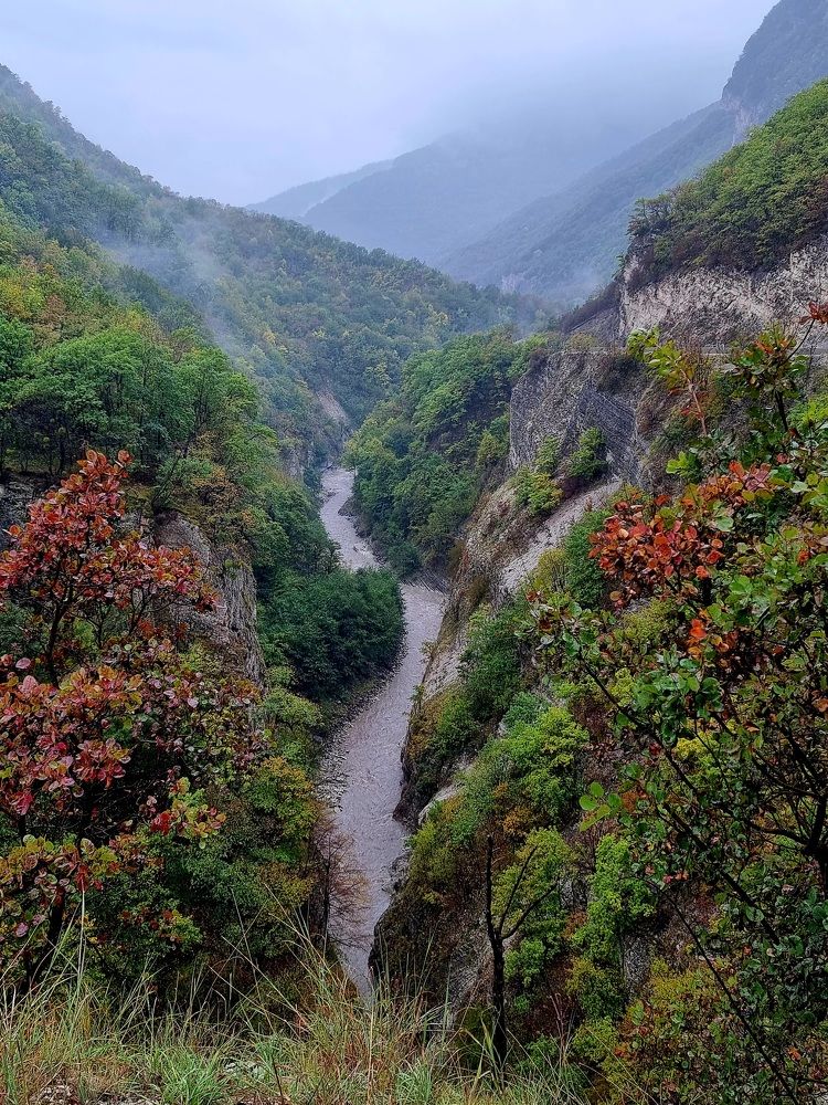 Осенний пейзаж