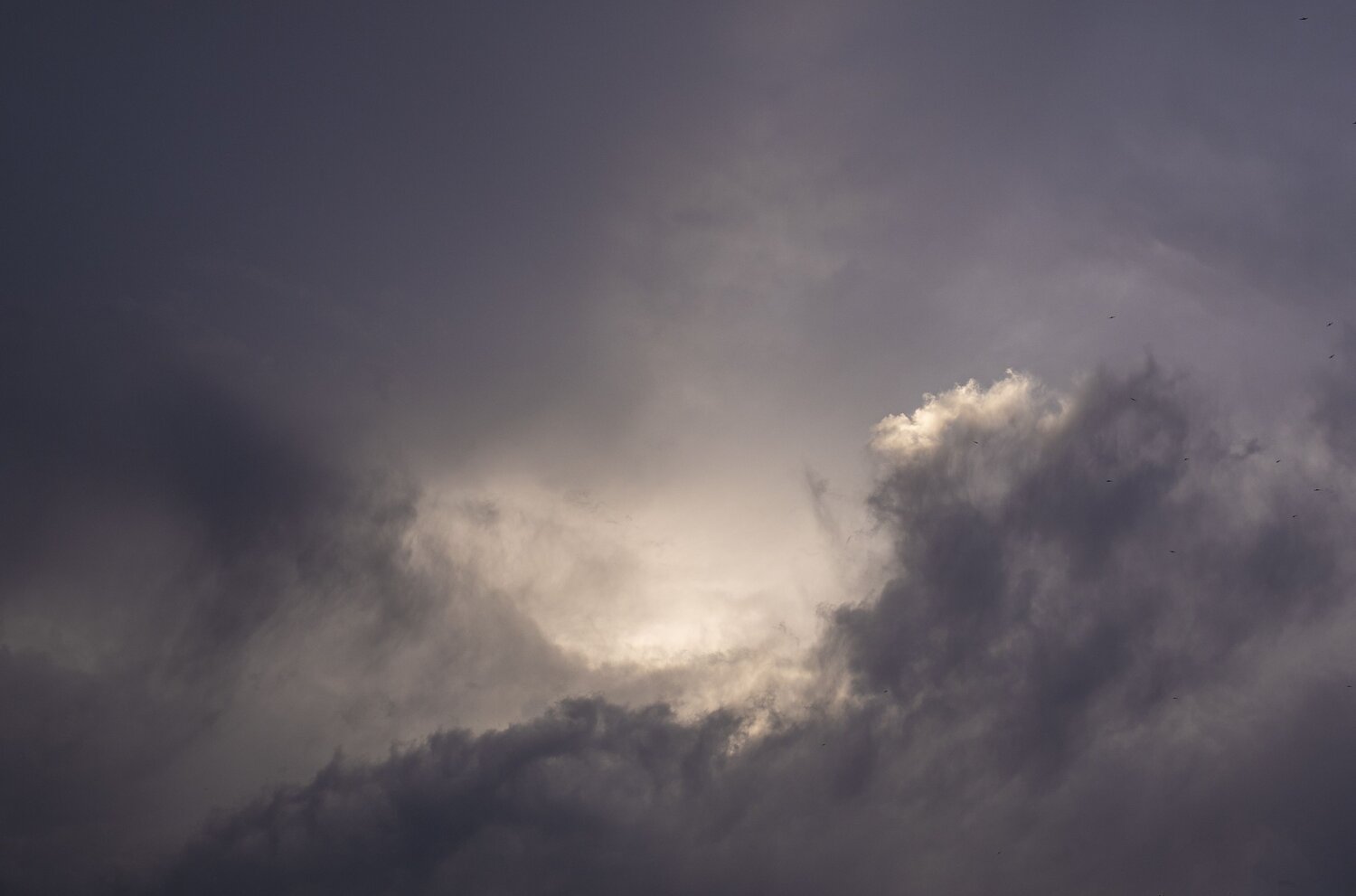 Photo #10482030