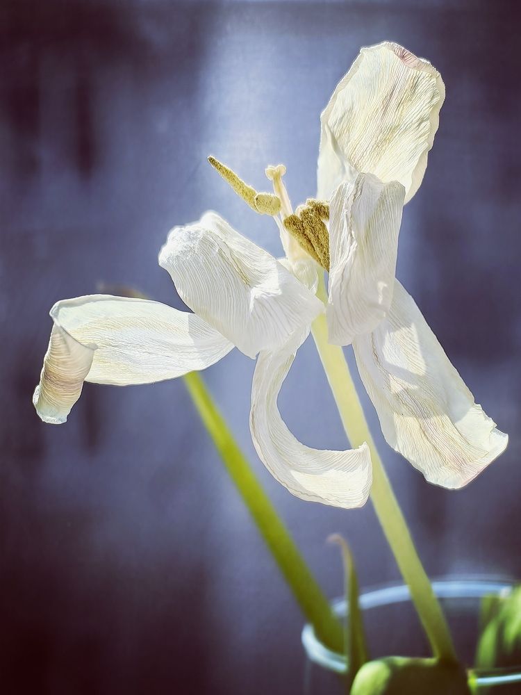 Photograph by Плотникова Елена