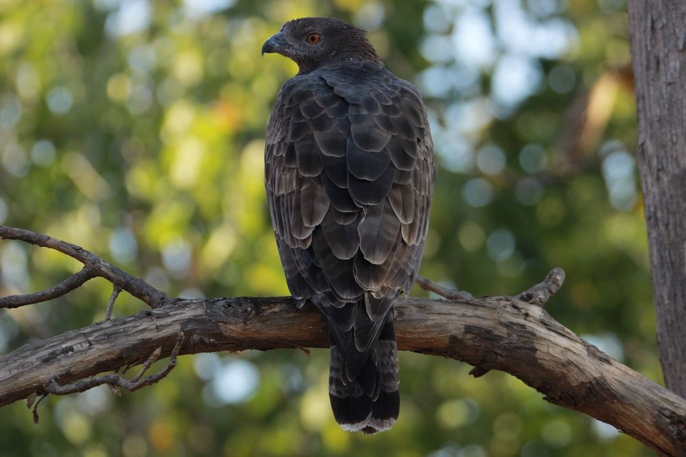 Photograph by anvita trivedi