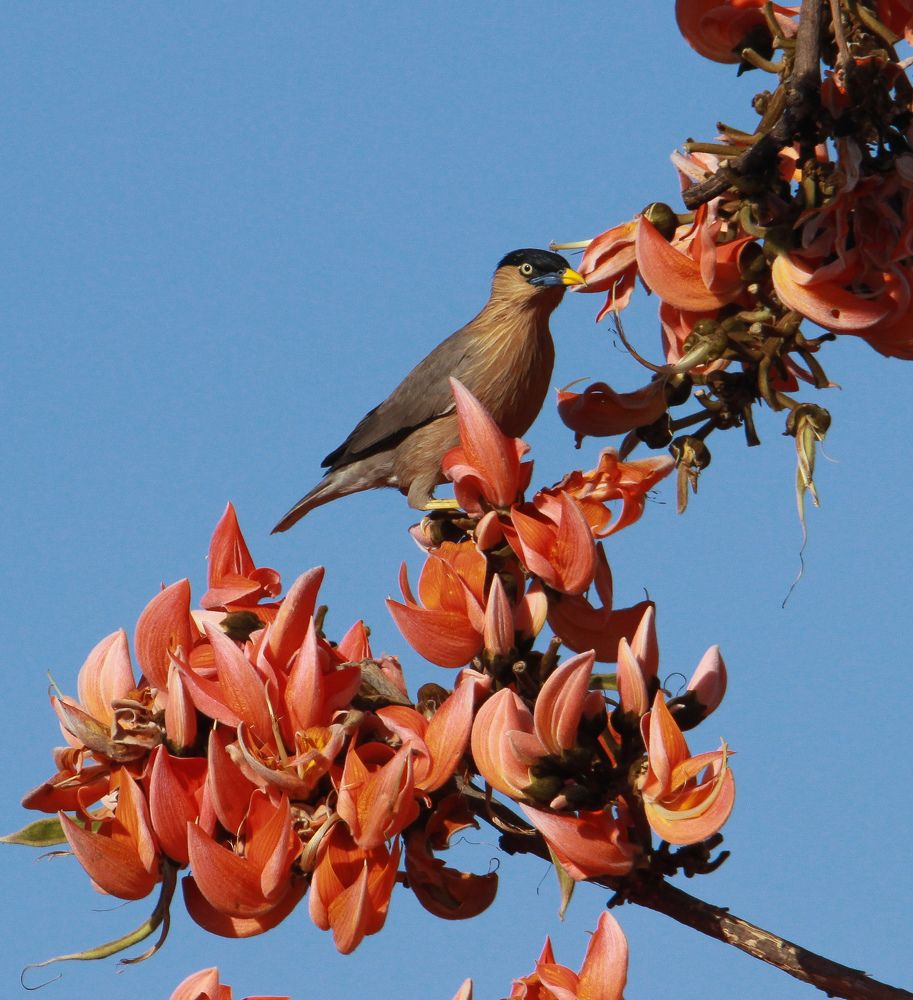 Photograph by anvita trivedi
