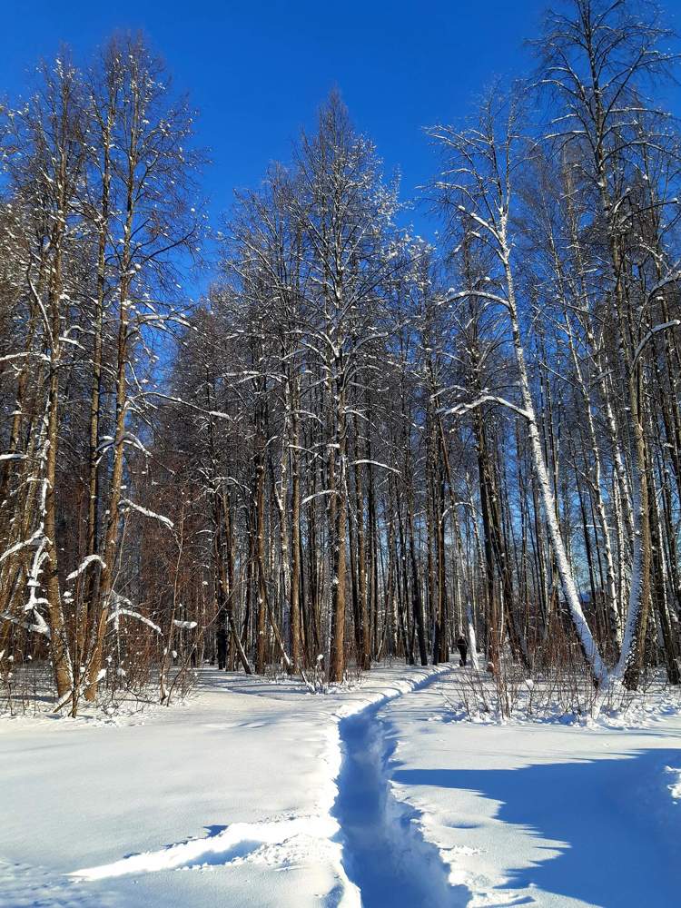 Фотография автора Наталья Шендяпина