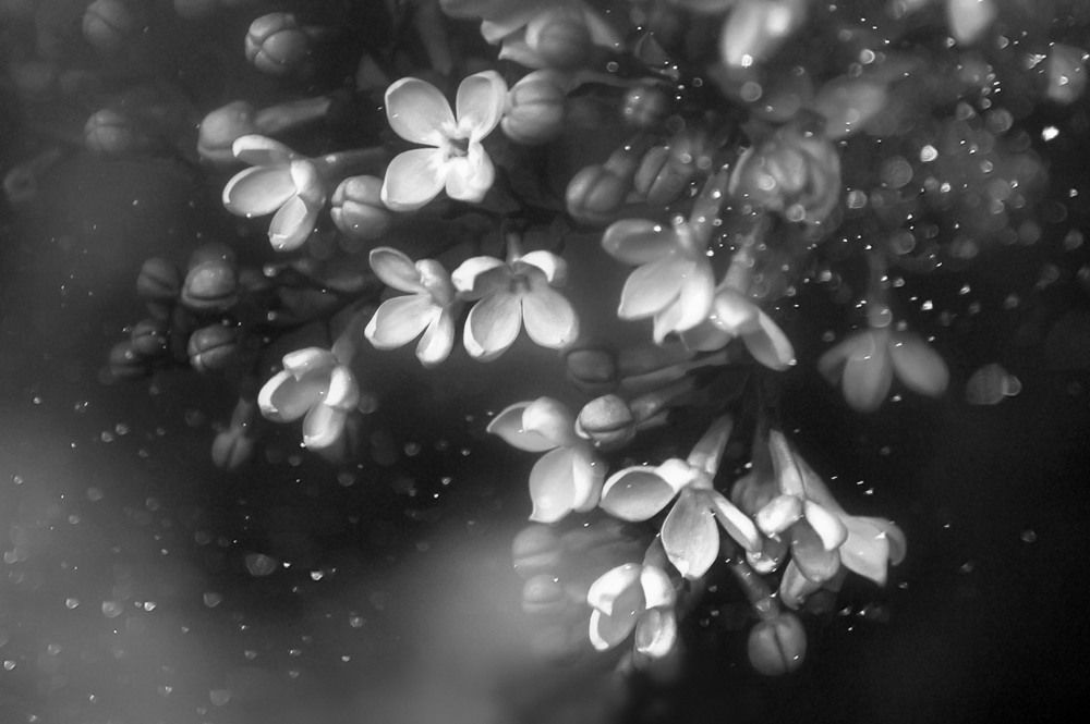 Фотография автора Katerina Georgieva