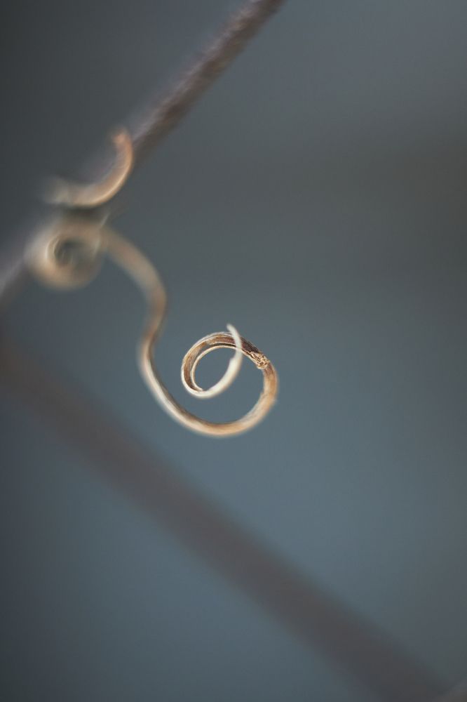Photograph by Алексей Макаров