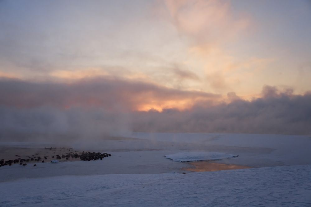 Photograph by Александр Пургин