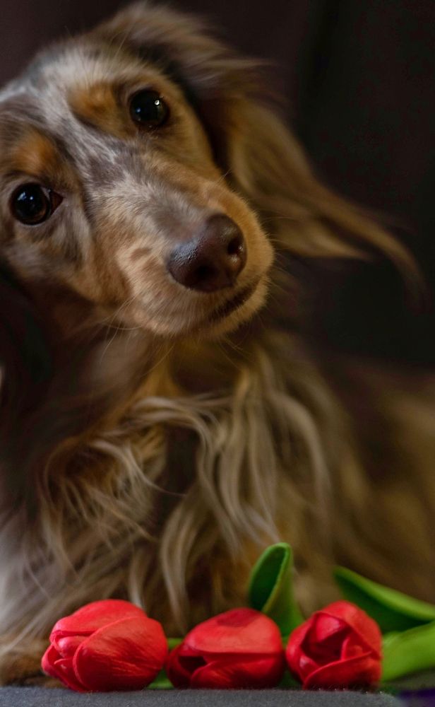 Photograph by Татьяна