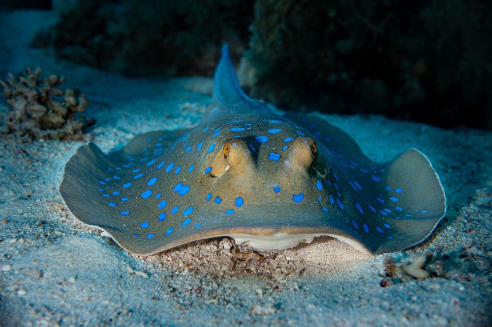 Photograph by Santiago Estrada R