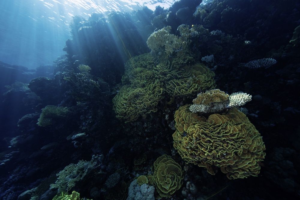 Photograph by Santiago Estrada R