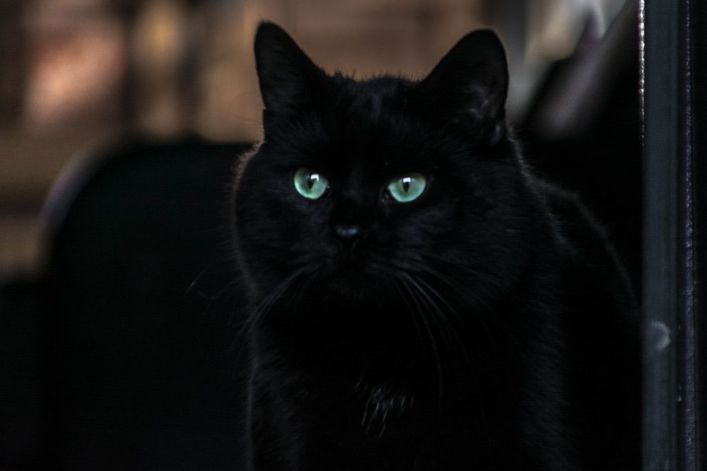 Photograph by Людмила Прибылова