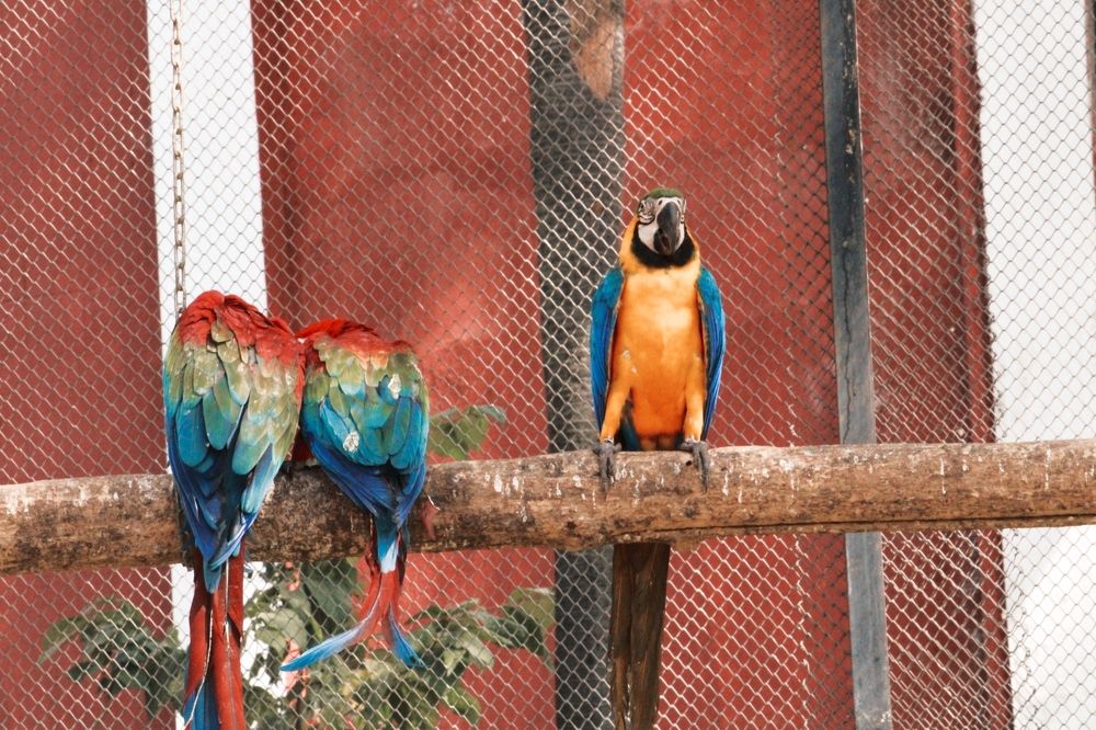 Photograph by Dhaneshkumar Dhaneshkumar Dakshinamoorthy