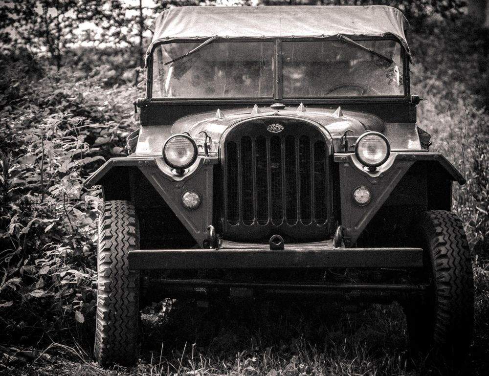 Photograph by Владимир Поздняков