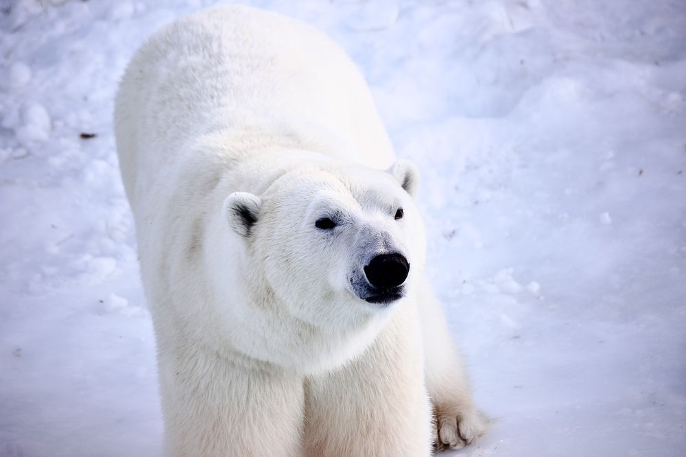 Photograph by Лариса Белашова