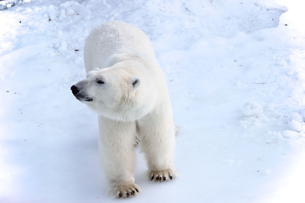 Photograph by Лариса Белашова