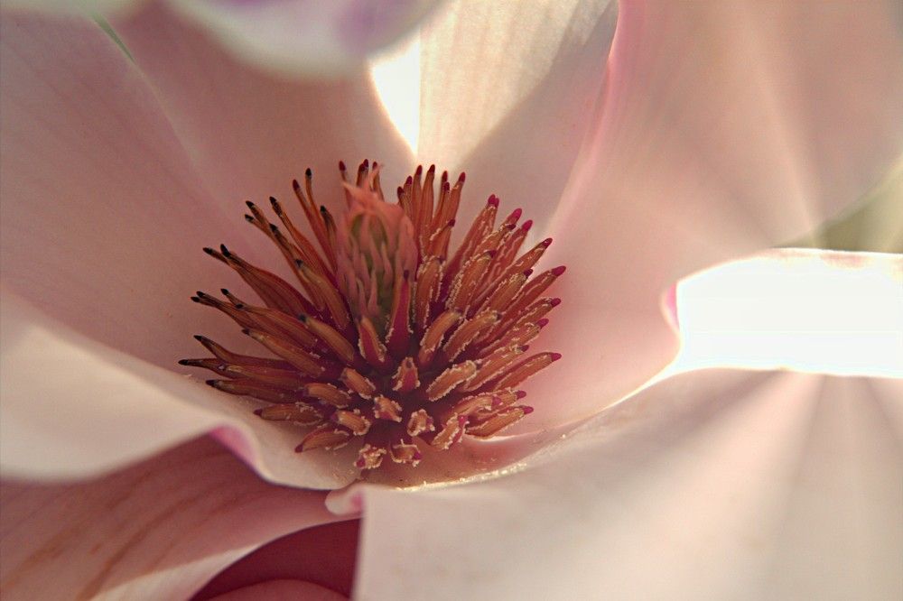 Photograph by Ирина Соколова