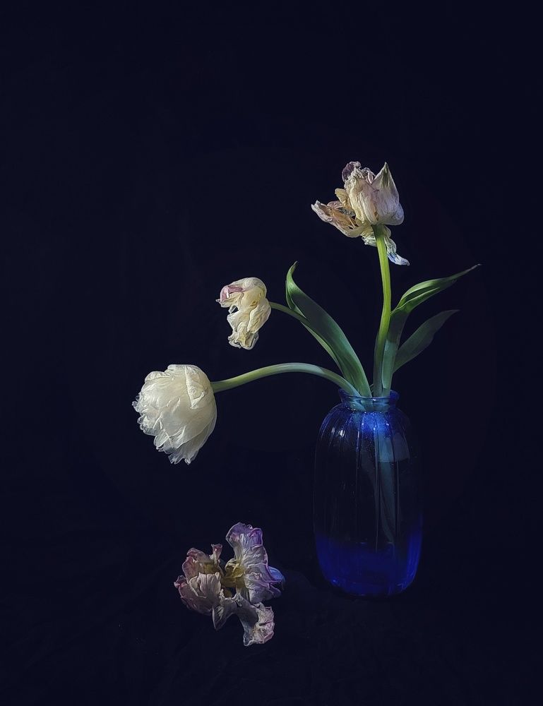 Photograph by Nora Cheprasova