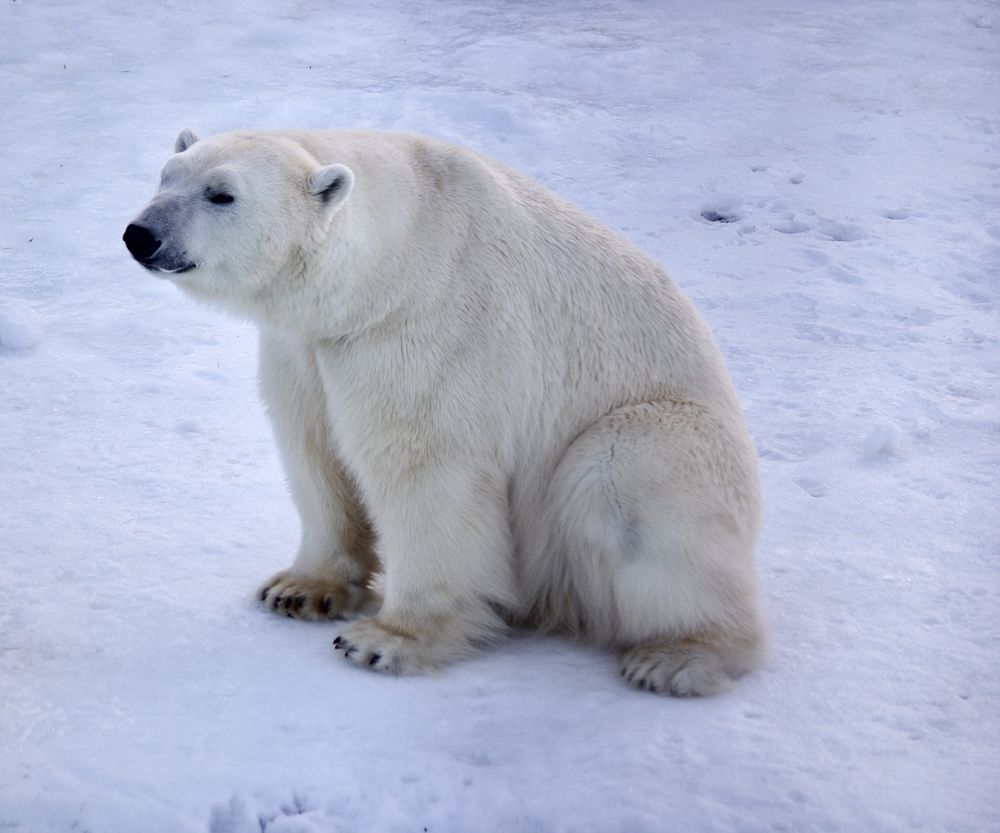 Photograph by Лариса Белашова