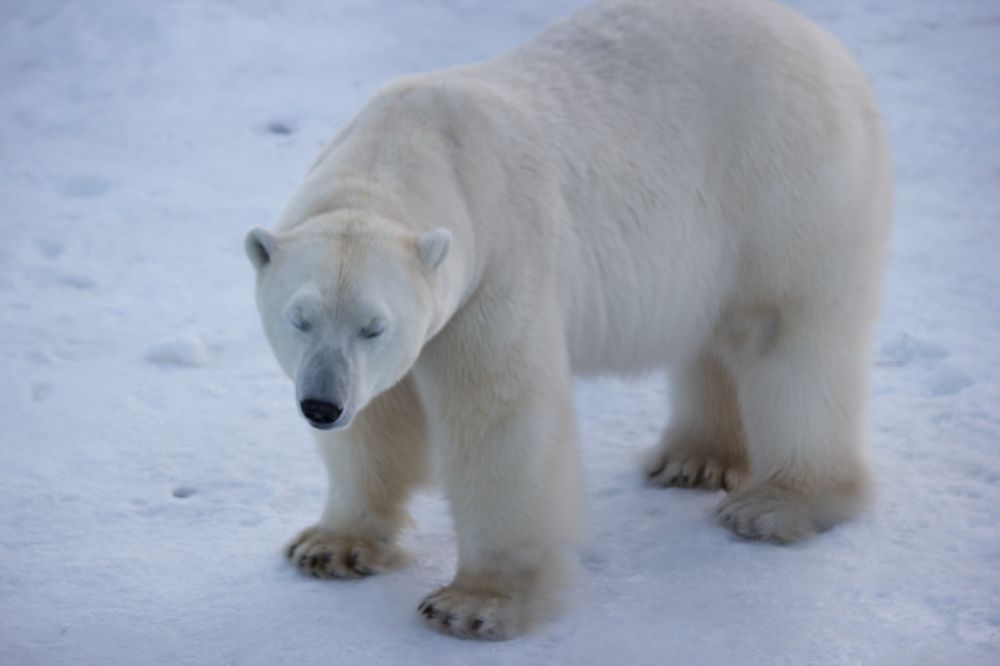 Photograph by Лариса Белашова