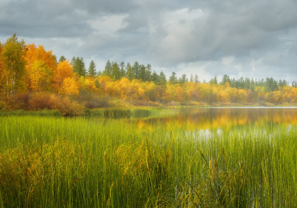 Фотография автора Козыренко Вадим