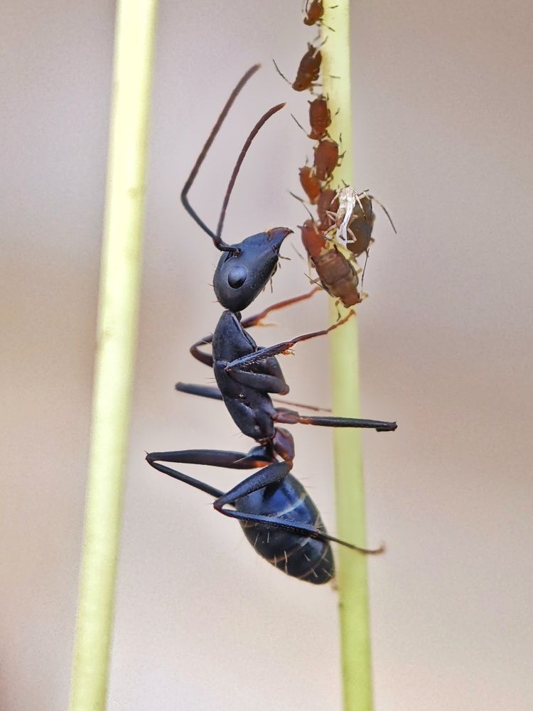 Photograph by Sai Krishna