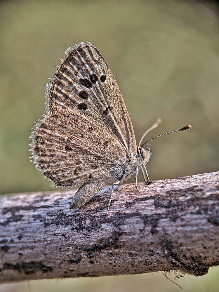 Photograph by Sai Krishna