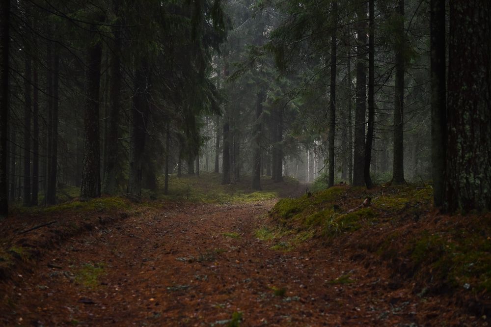 Photograph by Наталья Сергеева