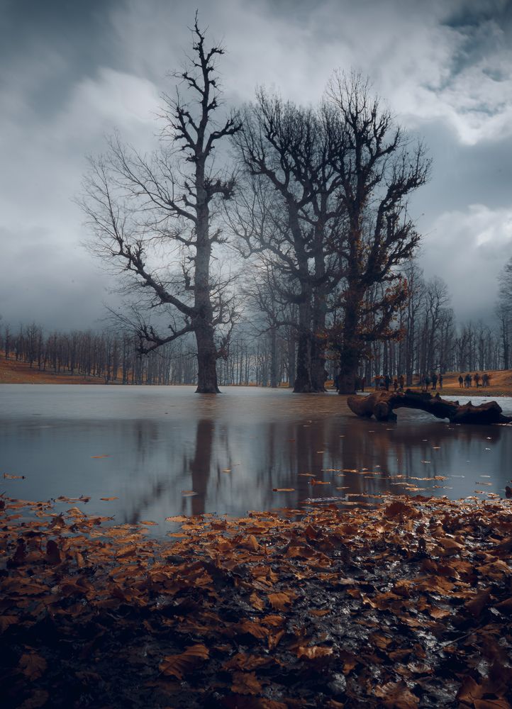 Photograph by Samir Meftah