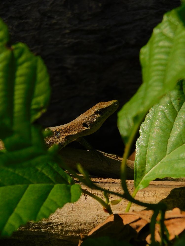 Photograph by Алена