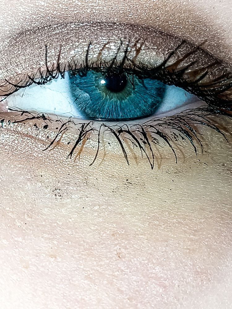 Photo #10482767