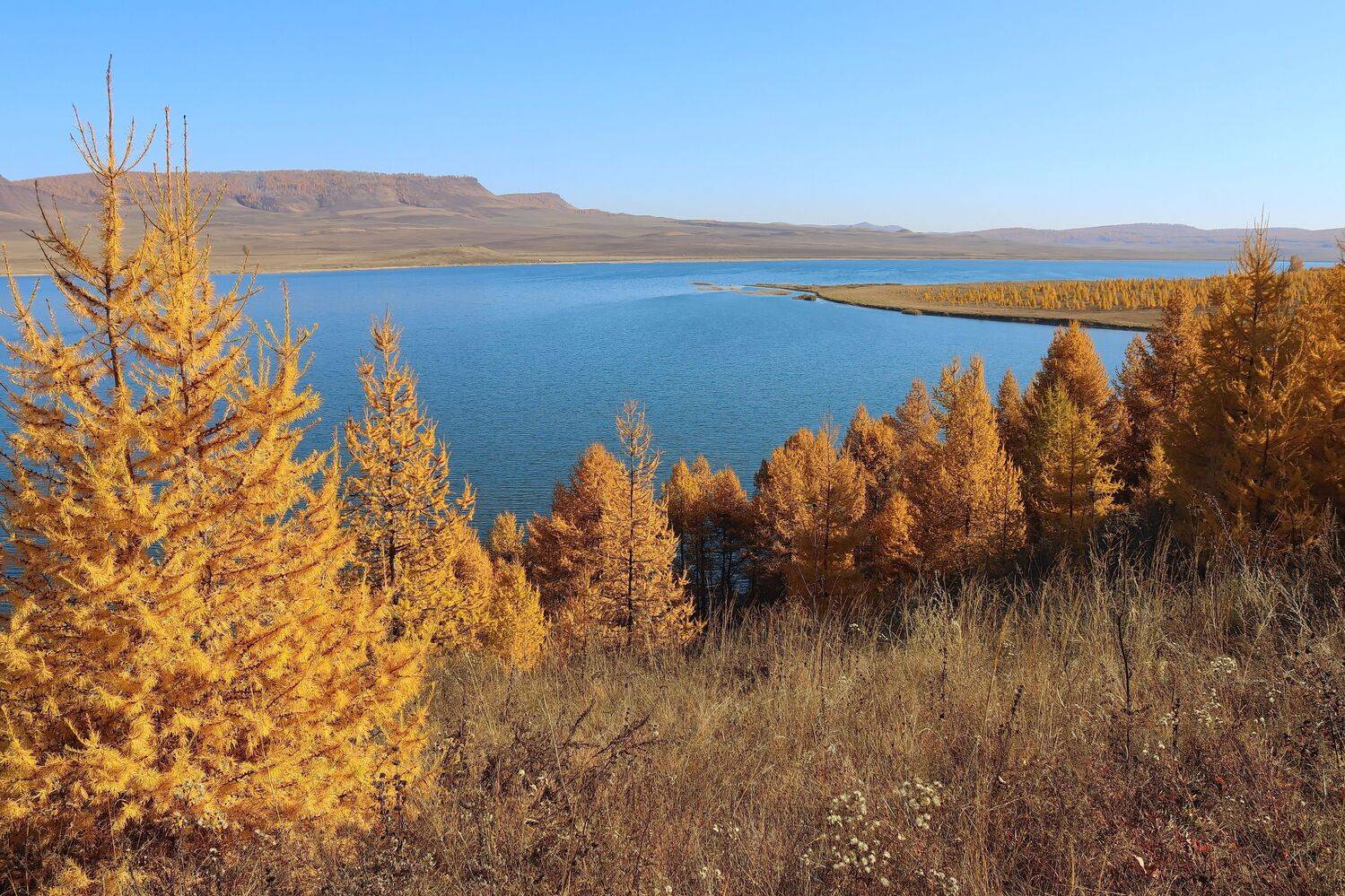 Осенняя синева.