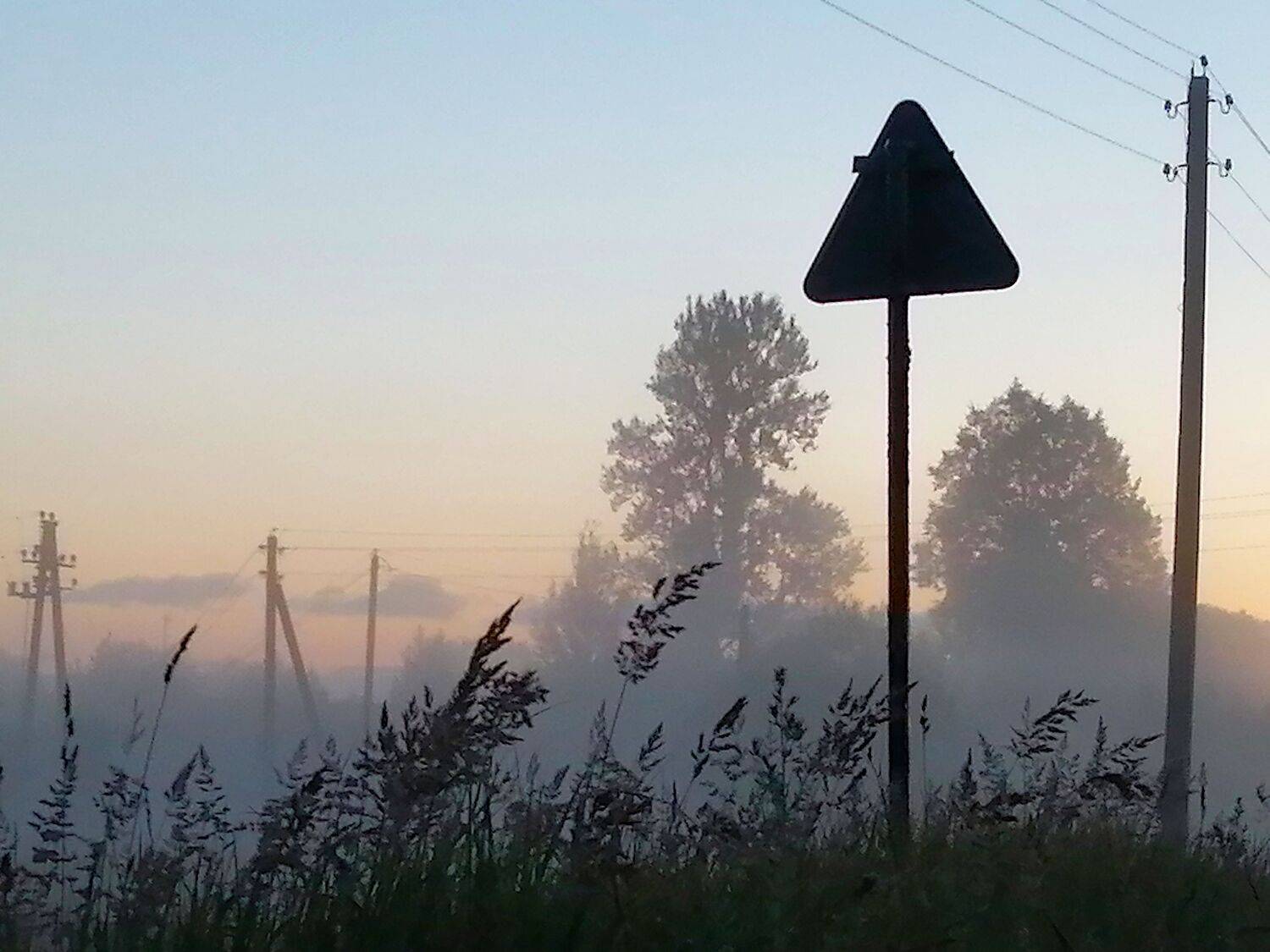 Photo #10482853