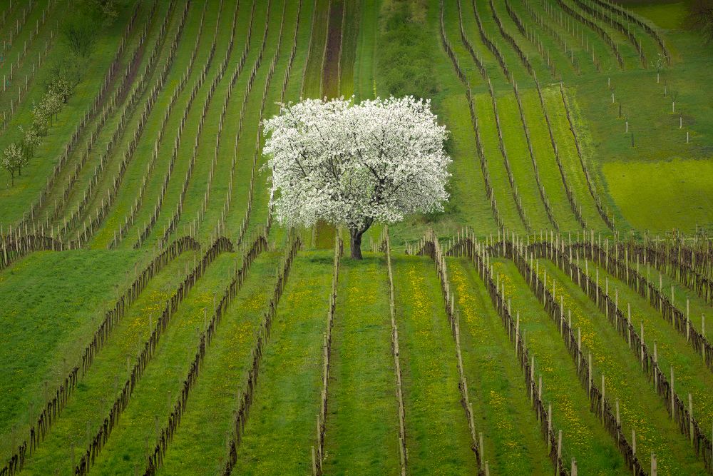 Photograph by Martin Koudelka