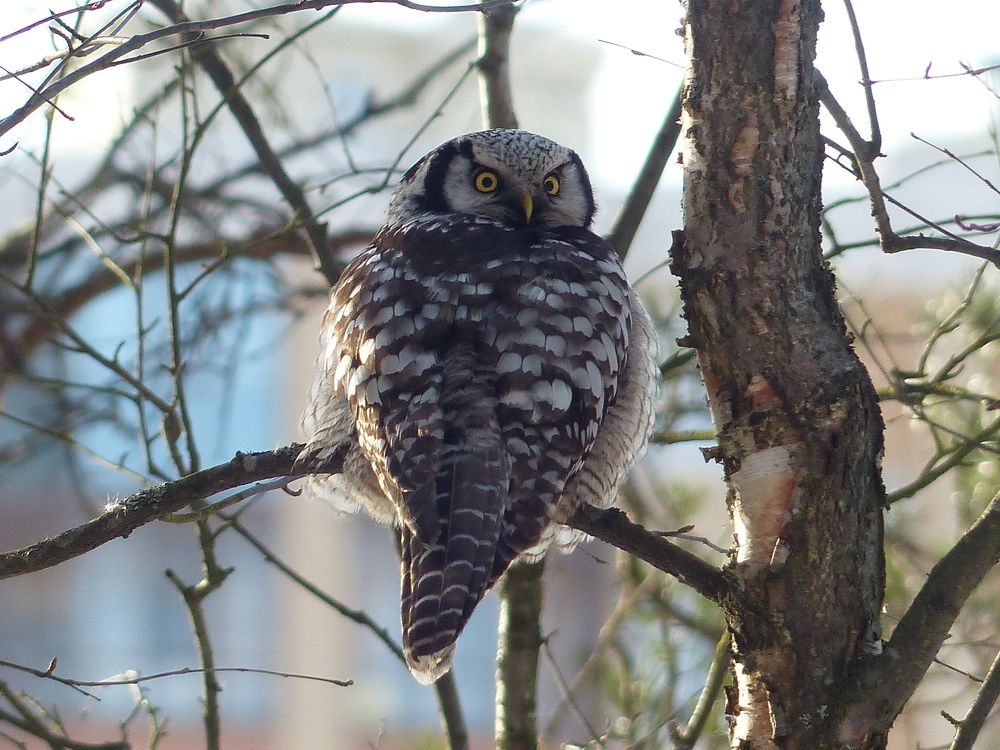 Photograph by Георгий Салюков