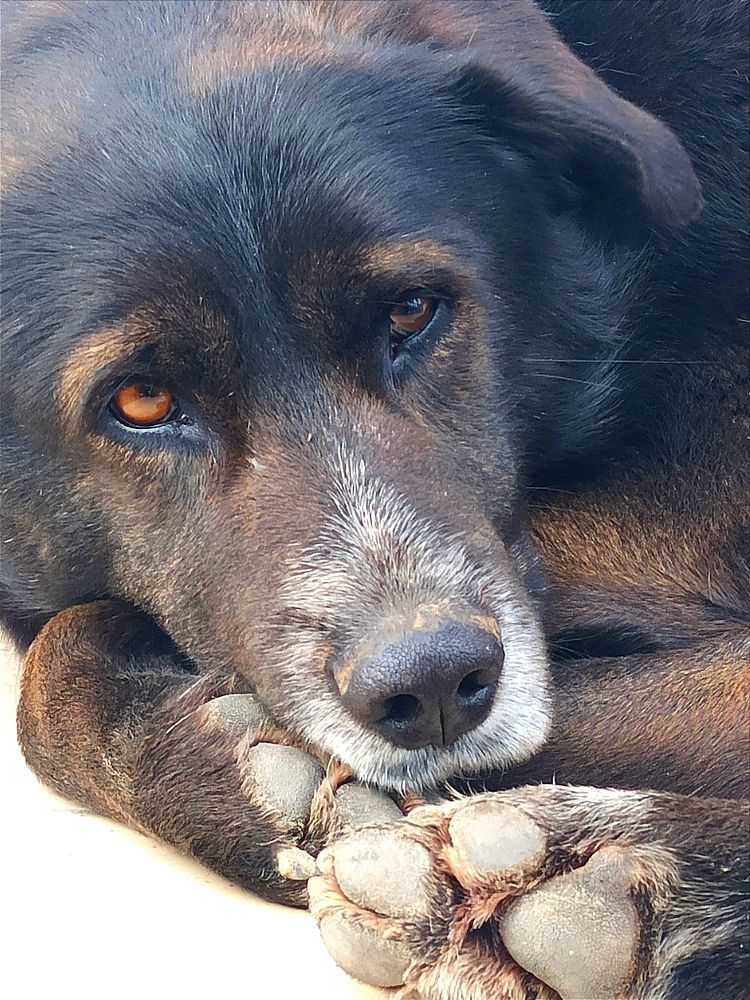 Photograph by Ольга Тихонова